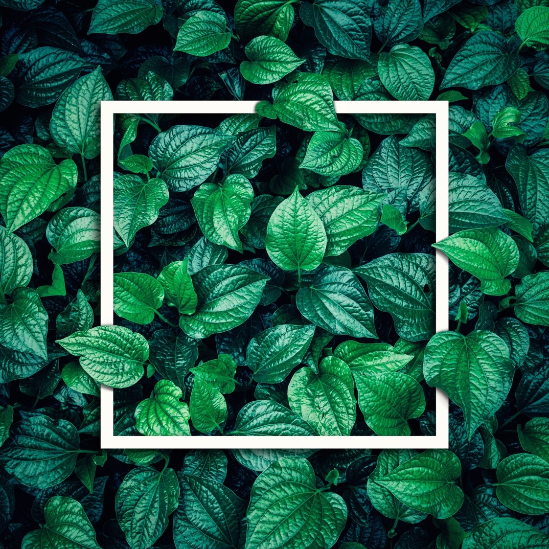 The art of Ethical Intrusion